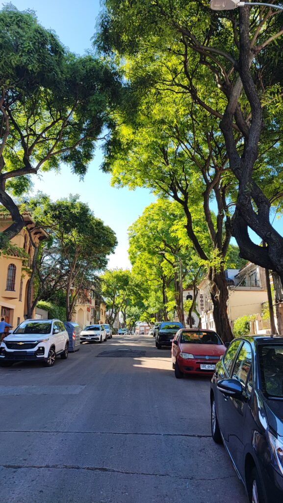 モンテビデオのプンタ・カレータス地区